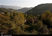 بازگشت 100 هکتار از جنگلهای هیرکانی به منابع طبیعی