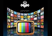 سریال‌های تلویزیون باید پیوست جمعیتی داشته باشند/چرا خانواده موفق را تک‌فرزند یا بی‌فرزند نشان می‌دهیم؟