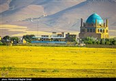 چمن سلطانیه جان گرفت