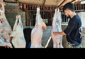 نظارت اکیپهای دامپزشکی خوزستان در عید قربان