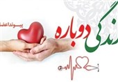 صدور 300 هزار گواهینامه با نشان اهدای عضو در کشور