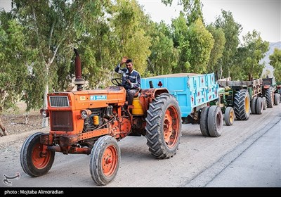 آغاز برداشت کشت‌های دیم در خوزستان