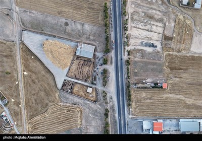 آغاز برداشت کشت‌های دیم در خوزستان
